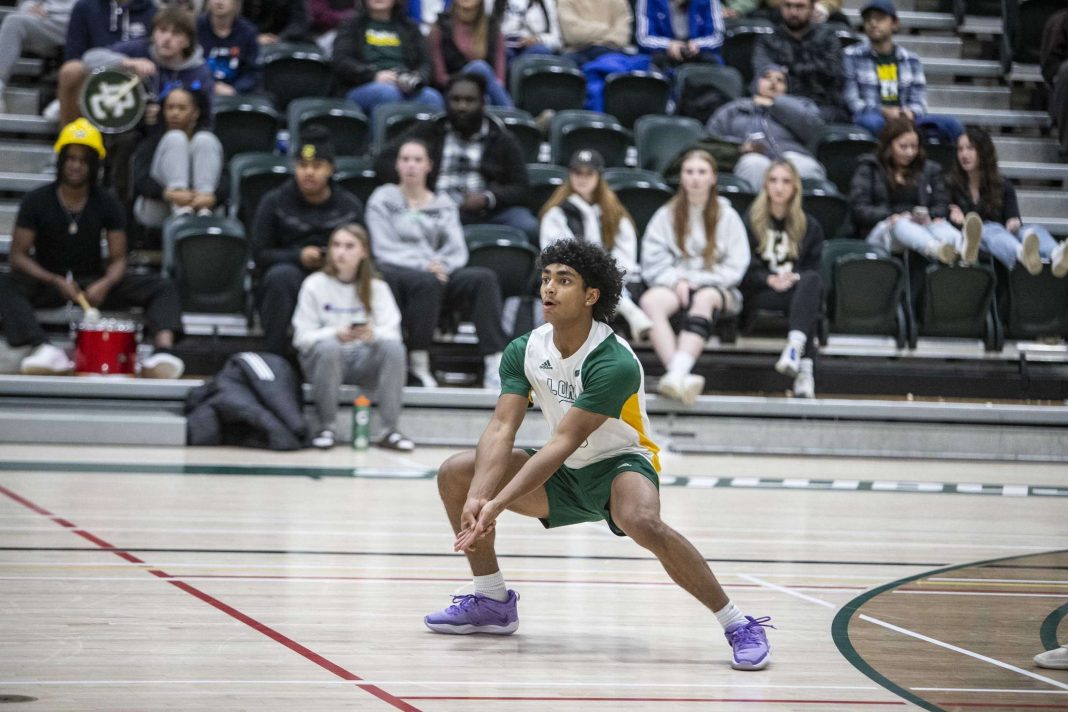 Jonas Felix waiting to pass a ball served by the George Brown Huskies, while the crowd watches. Photo credit: Allan Fournier.