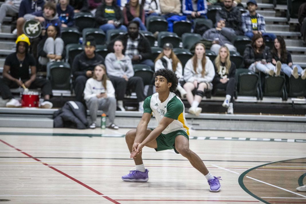 Jonas Felix waiting to pass a ball served by the George Brown Huskies, while the crowd watches. Photo credit: Allan Fournier